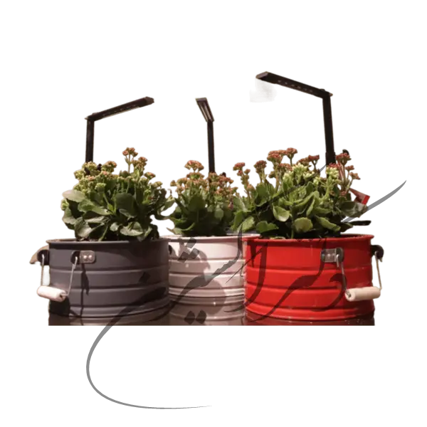 گلدان خاص – گلدان مانا 6 وات